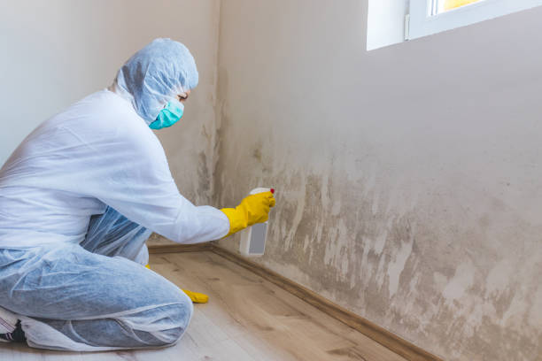 Licensed Mold Removal service in Sanford, VA - WQB Mold Removal