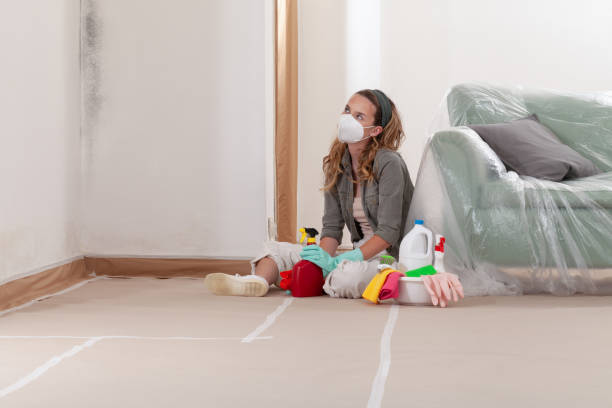 Reliable Mold Removal contractor in Sanford, VA by WQB Mold Removal